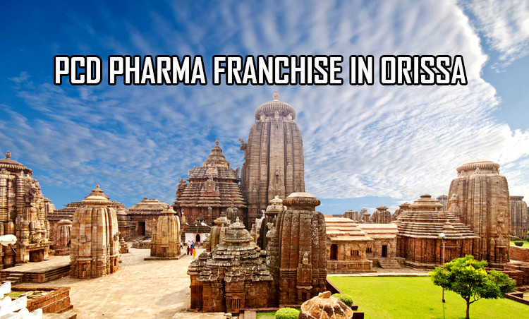 PCD Pharma Franchise in Orissa
