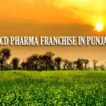 PCD Pharma Franchise in Punjab