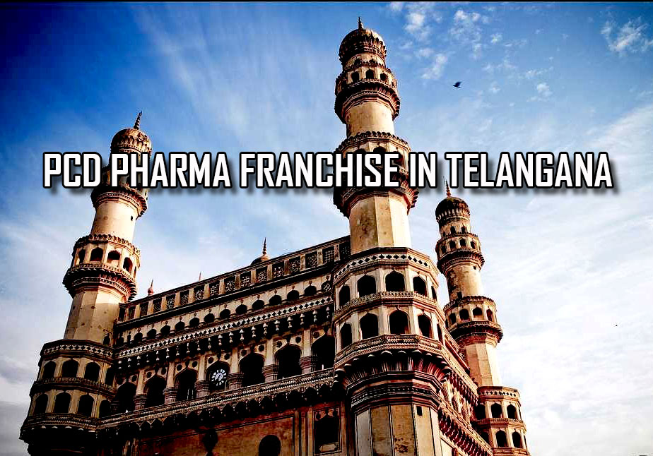 SEO for Pharma Franchise Companies is Effective or not?